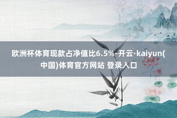 欧洲杯体育现款占净值比6.5%-开云·kaiyun(中国)体育官方网站 登录入口
