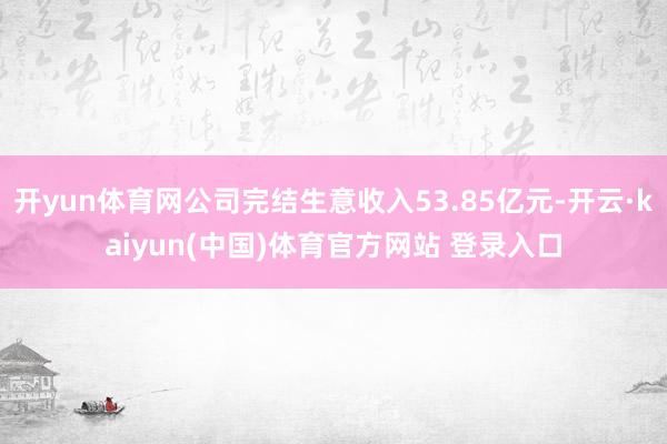 开yun体育网公司完结生意收入53.85亿元-开云·kaiyun(中国)体育官方网站 登录入口