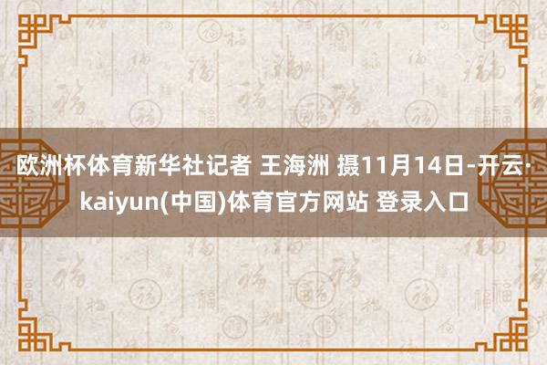 欧洲杯体育新华社记者 王海洲 摄11月14日-开云·kaiyun(中国)体育官方网站 登录入口