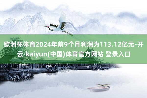 欧洲杯体育2024年前9个月利润为113.12亿元-开云·kaiyun(中国)体育官方网站 登录入口